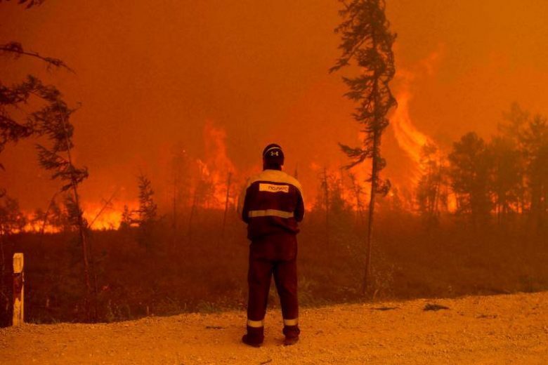 Площадь лесных пожаров близка к рекорду в XXI веке - фото 1