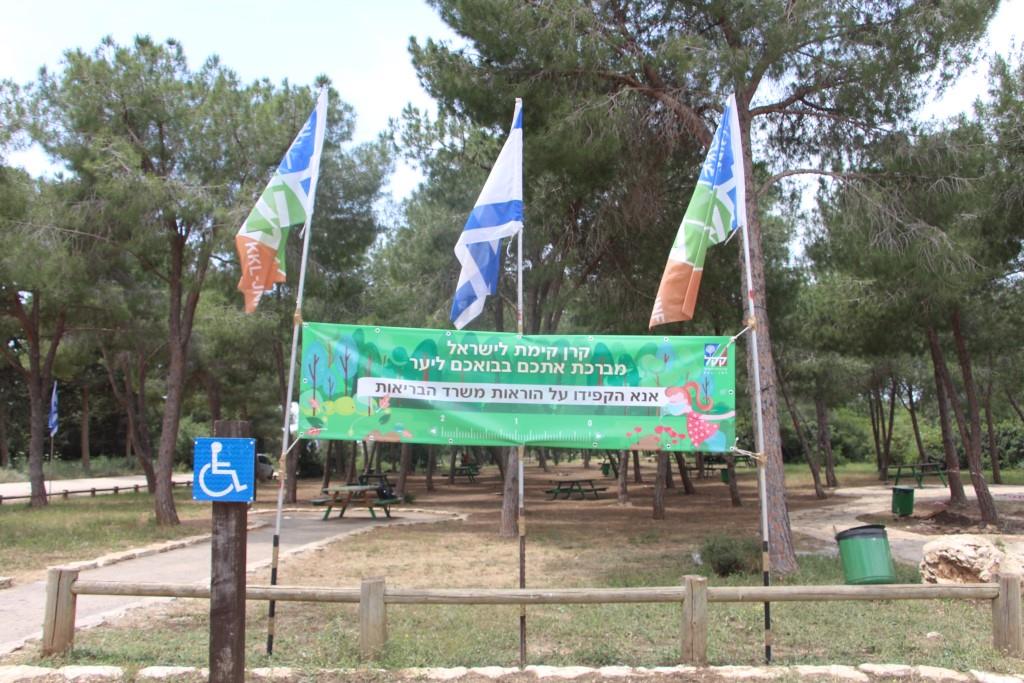 Израиль: Всемирный день экологии: праздник в лесу и подарки от ЕНФ-ККЛ    - фото 1