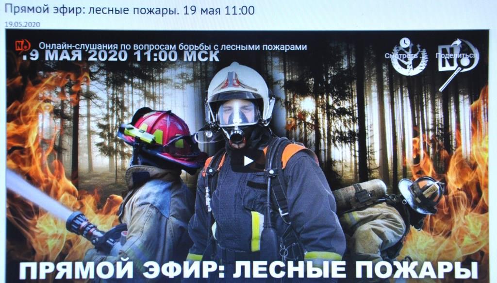 ГД РФ провела онлайн-слушания по вопросам борьбы с лесными пожарами - фото 1