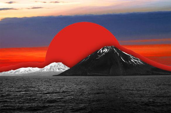 Япония в одностороннем порядке "забрала" российские острова Курильской гряды - фото 1