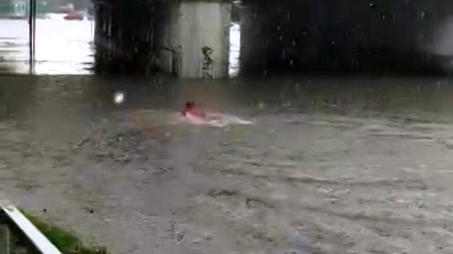 В Краснодаре заплыв на затопленной наводнением улице стал сюжетом фильма - фото 1