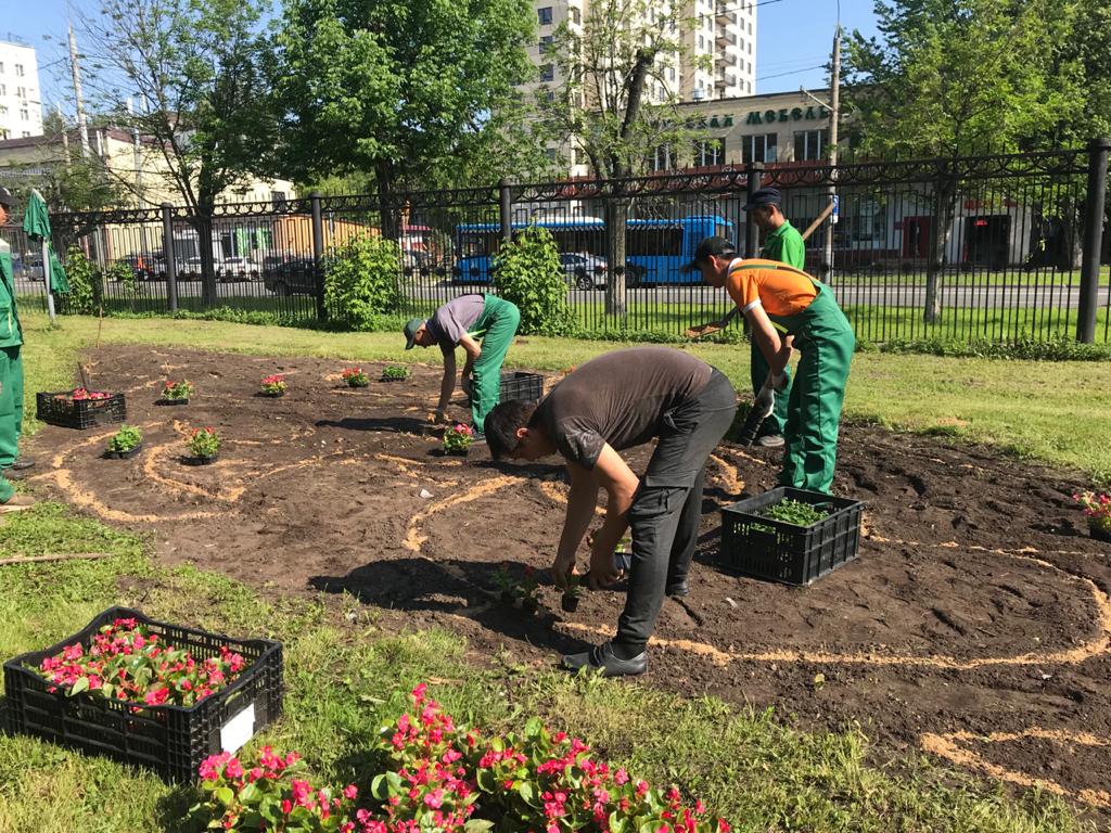 Специалисты Мосприроды круглогодично ухаживают за зелеными насаждениями - фото 7