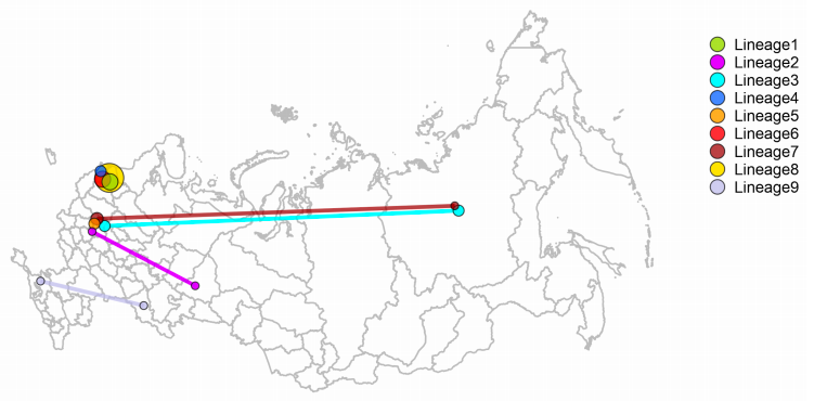 Коронавирус попал в Россию не из Китая - фото 2