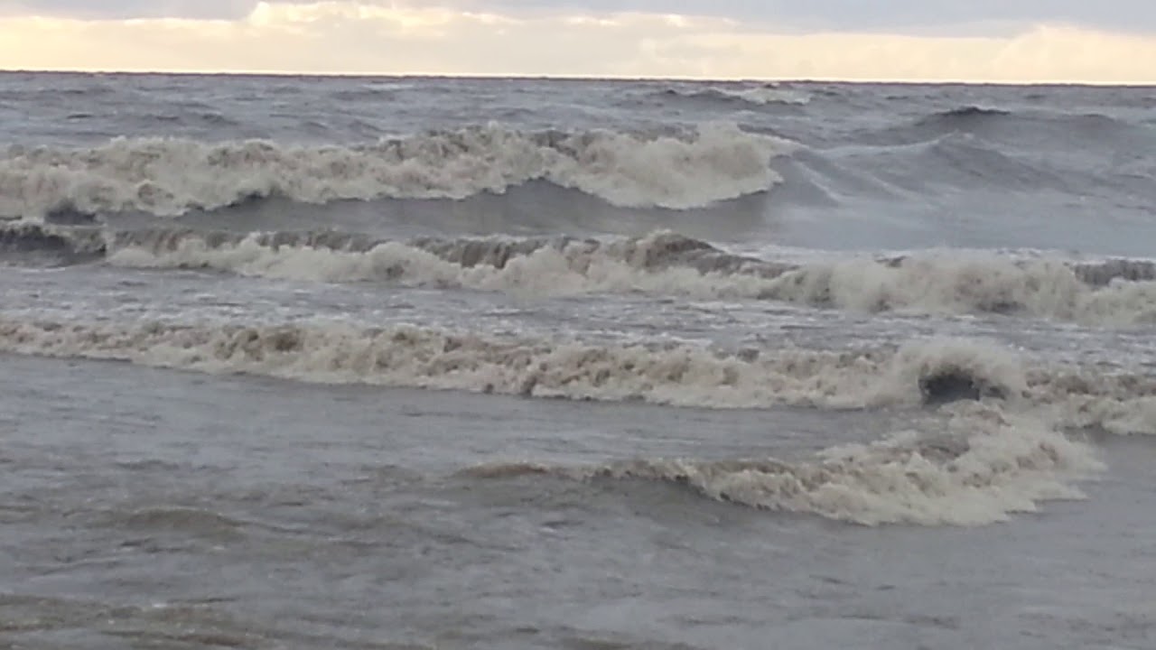 В Сочи шторм, на берег вышли искатели сокровищ Черного моря - фото 1