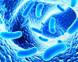 В вечной мерзлоте нашли бактерии, поедающие пластик - фото 1