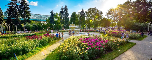 Департамент природопользования предлагает обзор инклюзивных практик, которые уже удалось реализовать в парках Москвы - фото 1