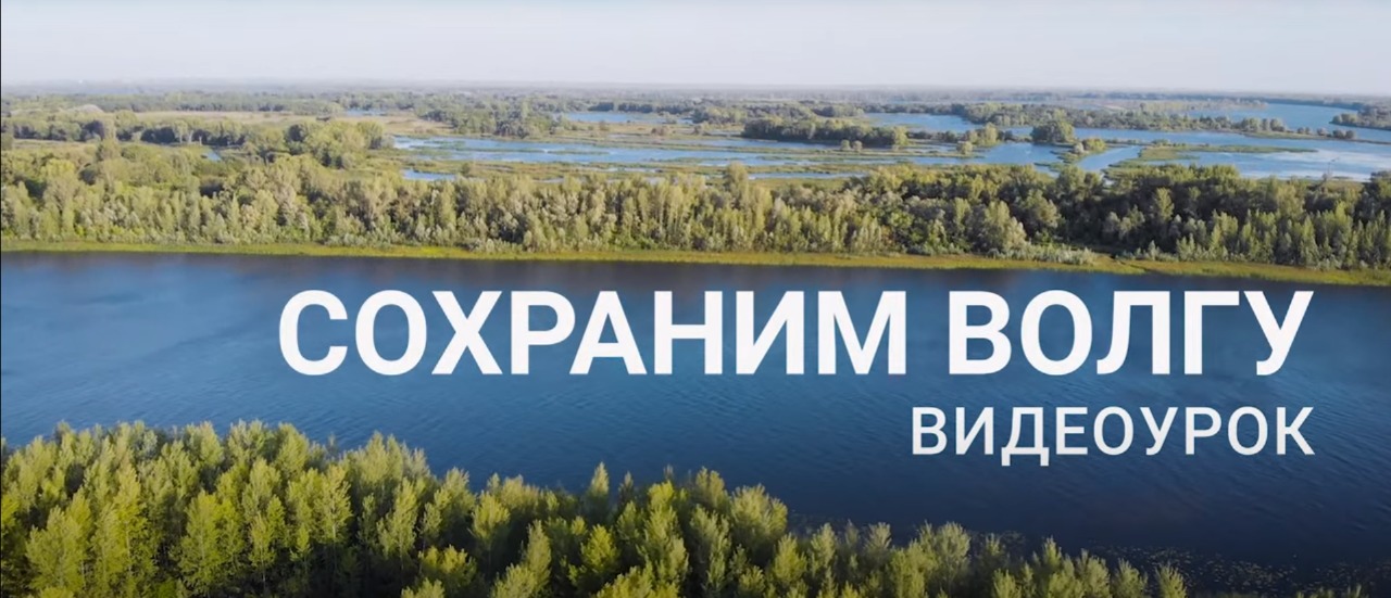 Сохраним Волгу: российские школьники вносят свой вклад в решение экологических проблем водных ресурсов - фото 2