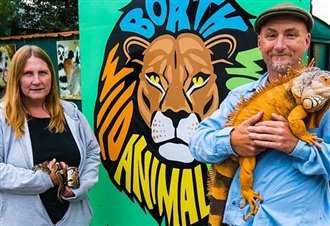 Владельцы британского зоопарка  грозятся умертвить всех животных - фото 1