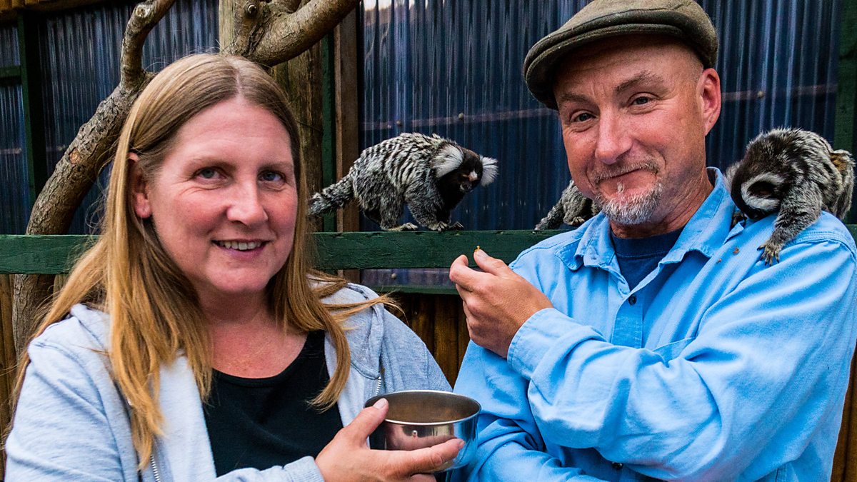 Владельцы британского зоопарка  грозятся умертвить всех животных - фото 2