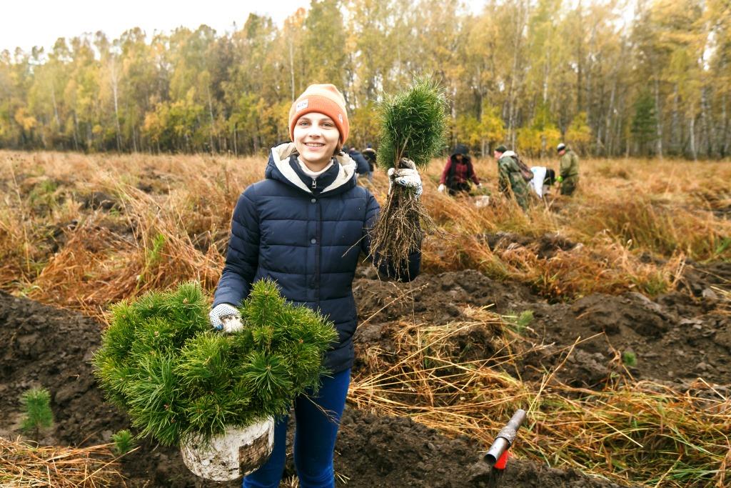 SPLAT  сажает все больше деревьев в России  - фото 1