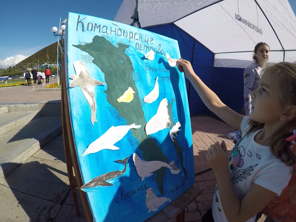 «Здесь царит океан или мусор?»: заповедник «Командорский» подготовил новую эколого-просветительскую программу для фестиваля «Море жизни» - фото 2