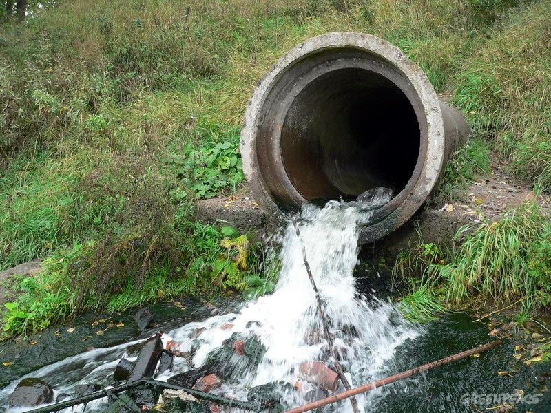 Активисты Ленобласти сообщают о загрязнении земель канализационными стоками - фото 1