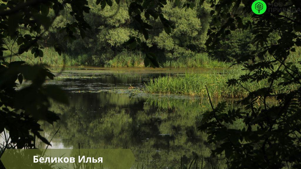 Почти 200 участников фотокросса поделились своими «Природными пейзажами»  - фото 3