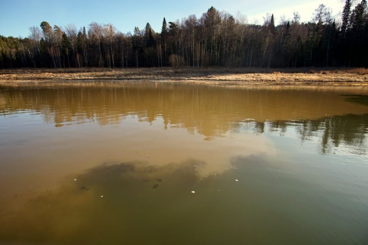 Из-за загрязнения реки Кувай в Красноярском крае проверяют деятельность золотодобытчиков - фото 2