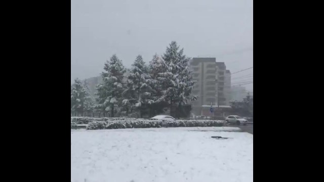 В Красноярске первый снег: город ожидает введение зимних режимов НМУ - фото 1