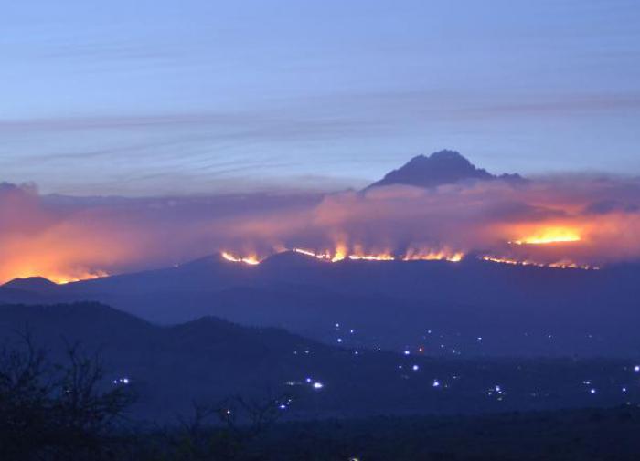 На горе Килиманджаро в Африке продолжается лесной пожар - фото 1