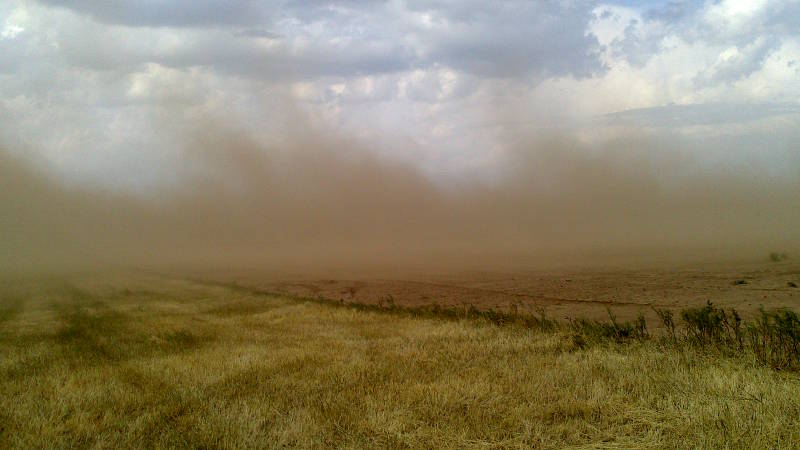 Пыльные бури в Калмыкии и на Ставрополье уничтожают плодородный слой почвы - фото 1