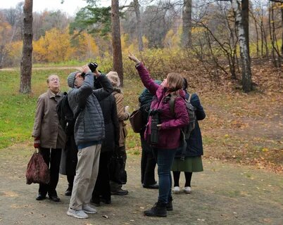 Почти 2700 птиц увидели участники Eurobirdwatch-2020 на природных территориях Москвы - фото 1