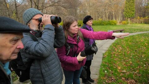 Почти 2700 птиц увидели участники Eurobirdwatch-2020 на природных территориях Москвы - фото 2