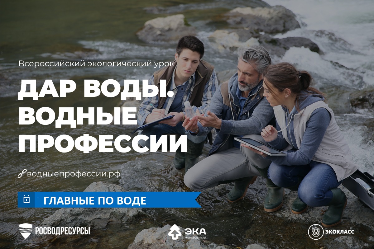 В России запущен экопросветительский проект по "водным" профессиям   - фото 1