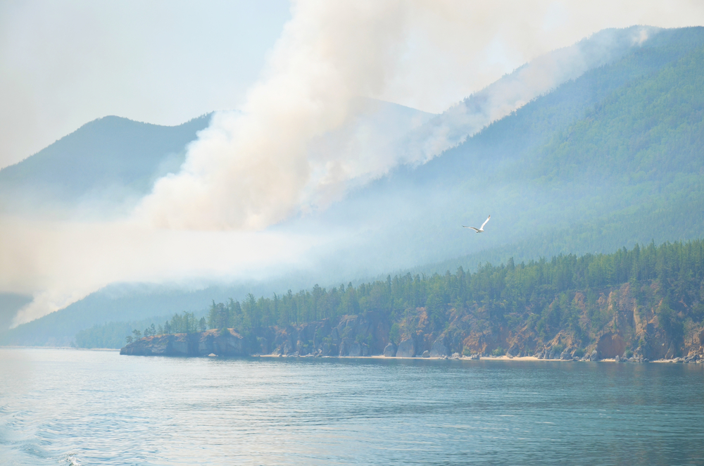 Forest-fires Baikal