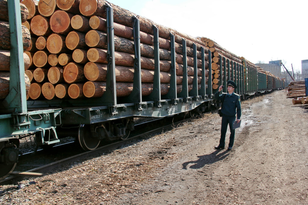 Запретить вывоз необработанных лесоматериалов поручил Владимир Путин - фото 1