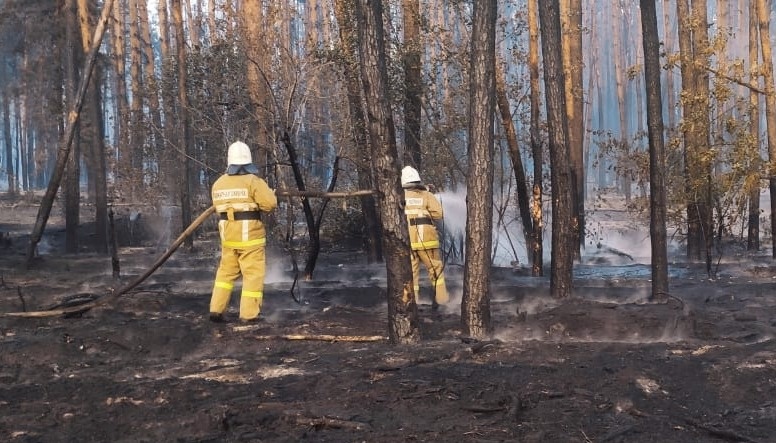 Пожары в Воронежской области приостановлены - СМИ - фото 5