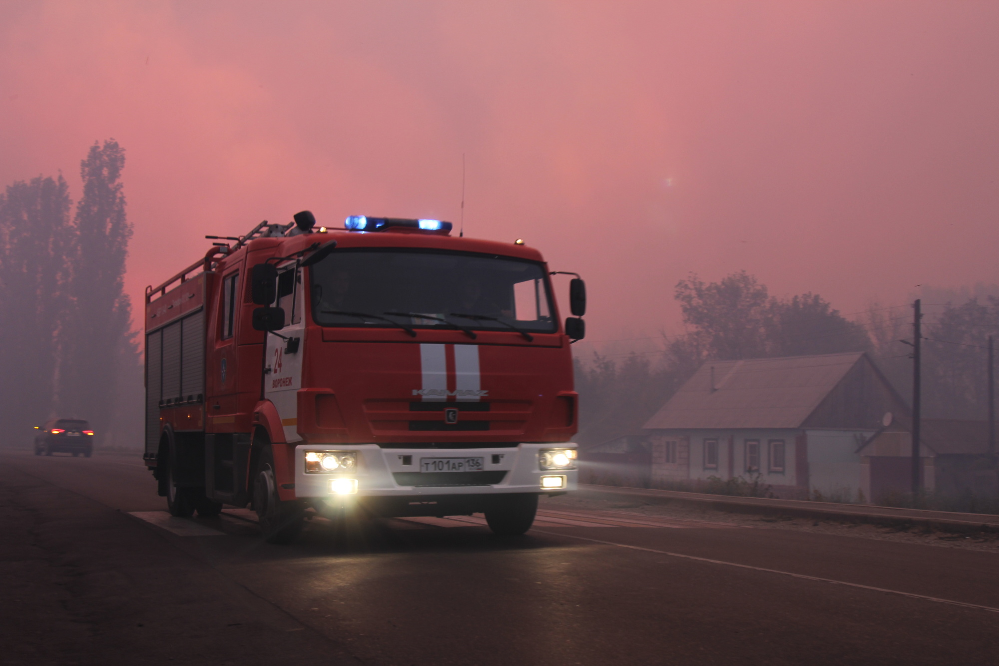 Пожары в Воронежской области приостановлены - СМИ - фото 6