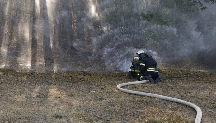 Пожары в Воронежской области приостановлены - СМИ - фото 7