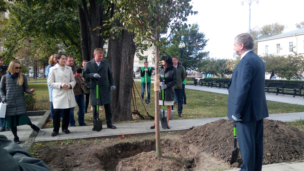 На Новинском бульваре в Москве посадили «Дерево дружбы» с Будапештом - фото 11
