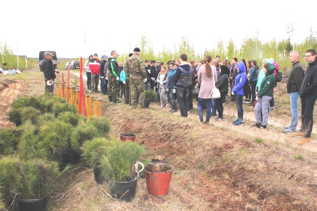 Движение ЭКА объявляет сбор волонтеров на посадки деревьев     - фото 2