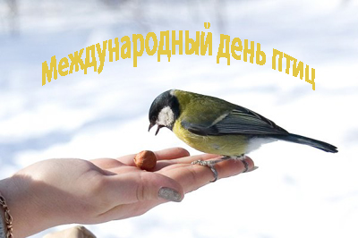 01 апреля Международный день птиц отметят в парке «Сокольники» - фото 1