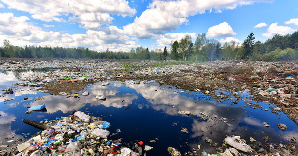 На тему экологической повестки и экоактивистов в России  - фото 1