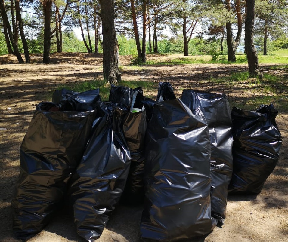 Подмосковные активисты ОНФ помогли очистить от мусора берега Пяловского водохранилища - фото 11