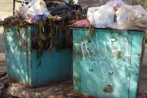 Тарифы на утилизацию мусора могут вырасти  - фото 1