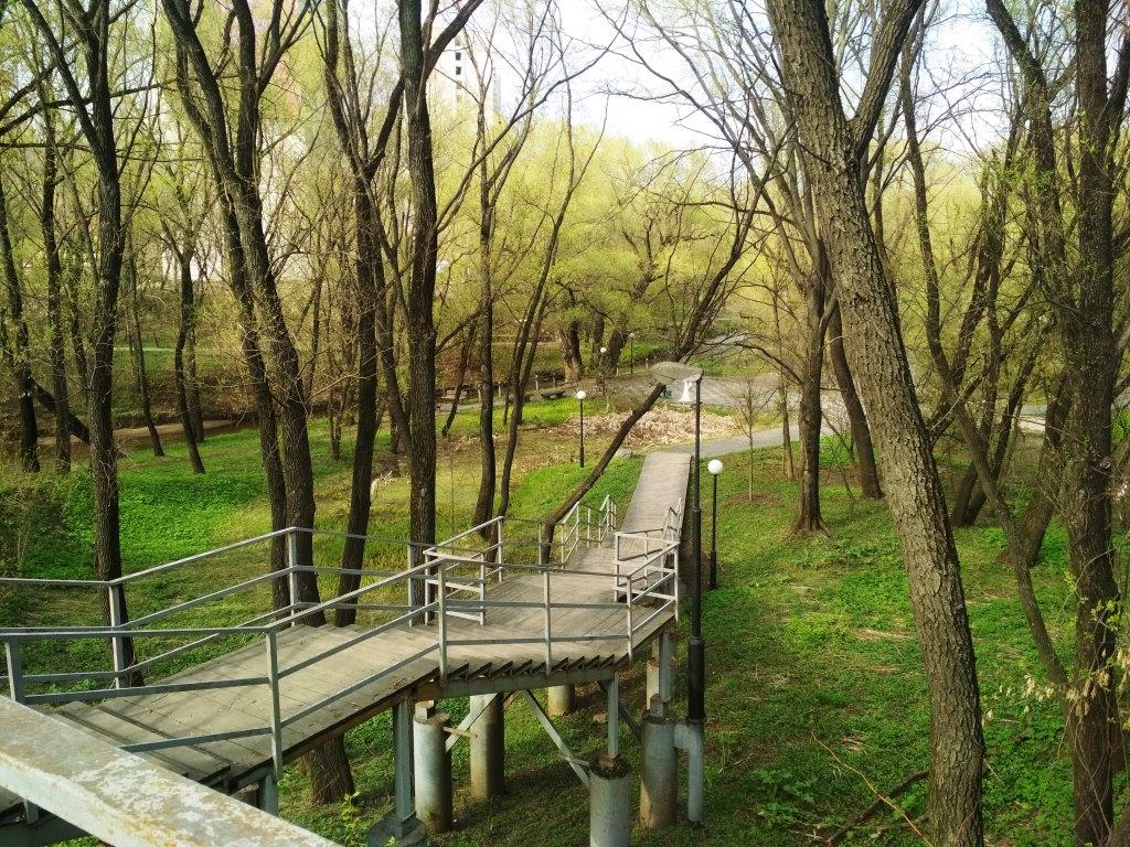Парк «Отрада» открыт для летних прогулок  - фото 6