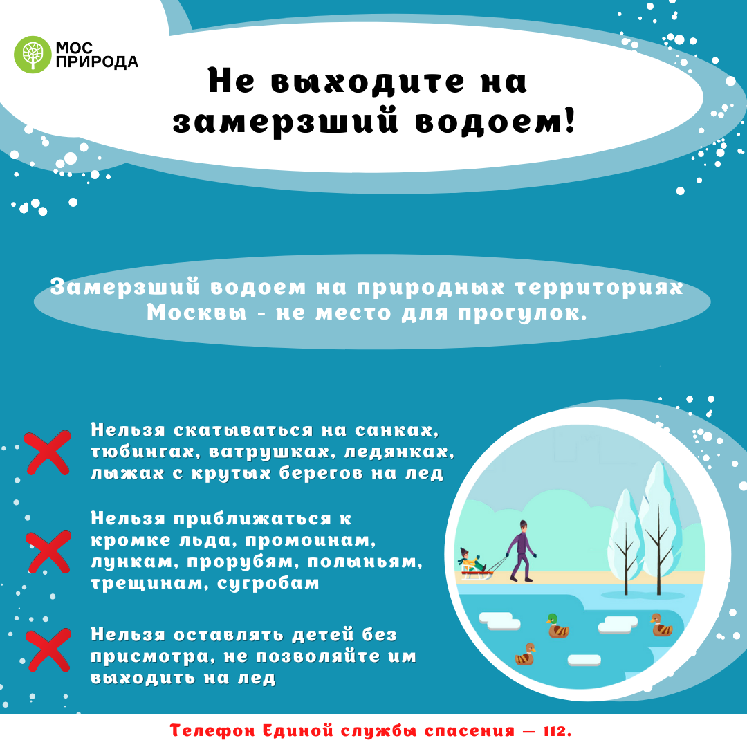 Мосприрода напомнила правила поведения на замерзших водоемах на природных территориях Москвы - фото 2