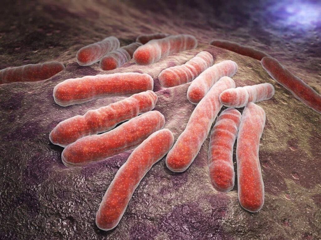 В поисках «слабого места» у туберкулезной палочки ученые исследовали ферредоксины - фото 1