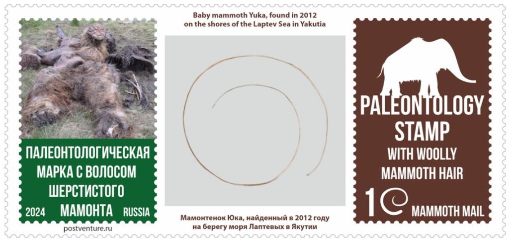 В Якутии создали первую в мире палеонтологическую марку с волосом шерстистого мамонта - фото 1