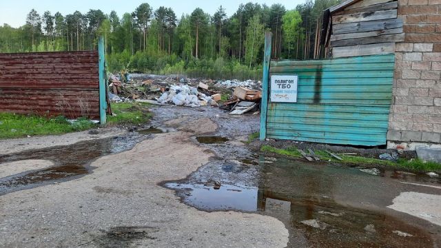 Александр Веселов: мусорная свалка в заповедных местах - фото 1