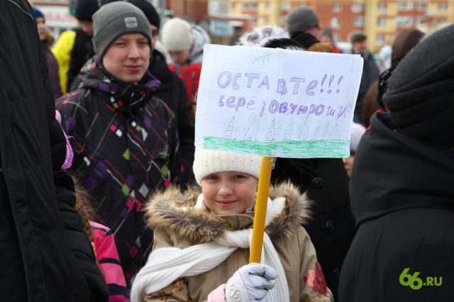 4 года борьбы за спасение Березовой рощи в Екатеринбурге: основные итоги - фото 1