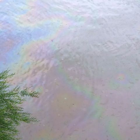 Нефтяное пятно в реке в Туапсе - фото 3