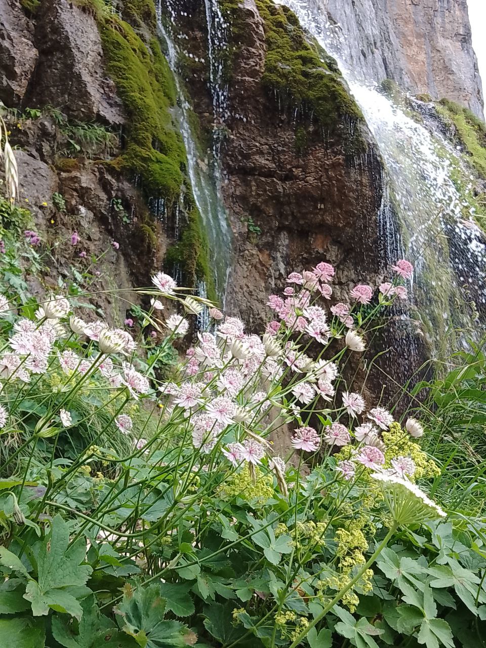 Водопад Пшехский. Путешествие с экологом  - фото 9