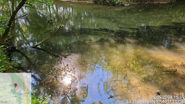 Загрязнение реки Сетуни нефтепродуктами - фото 1