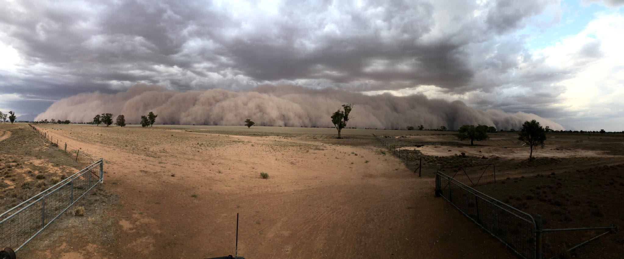 На Австралию обрушились ливни, град и пыльные бури - фото 5