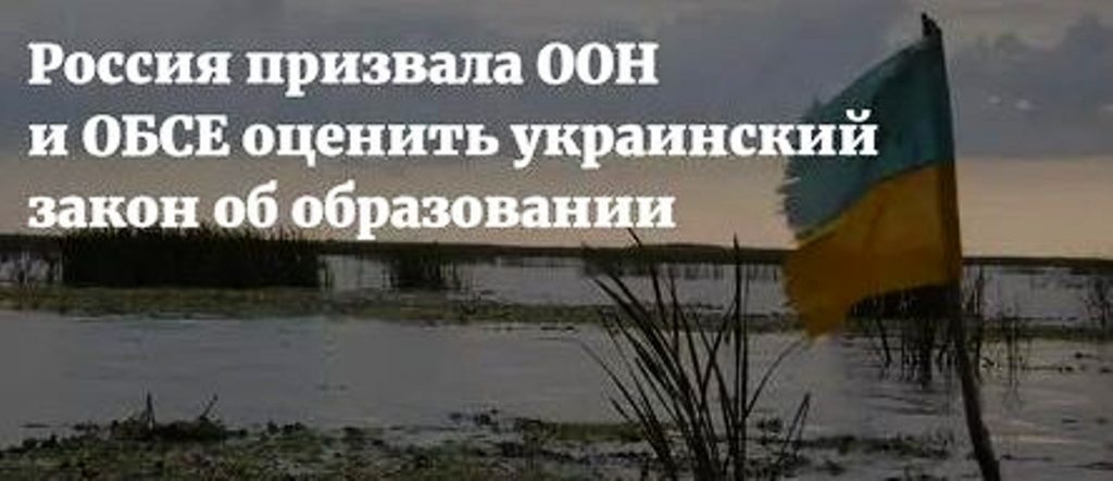 Россия обратилась к правозащитным организациям ООН и ОБСЕ из-за действий Украины - фото 1