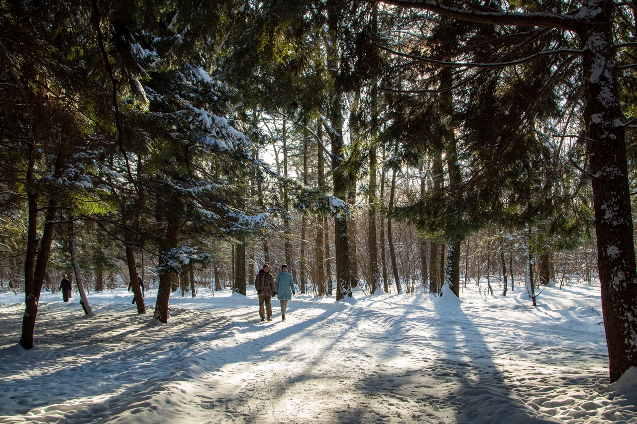 Активные граждане приняли участие в конкурсе «Зима на природных территориях СВАО»     - фото 1
