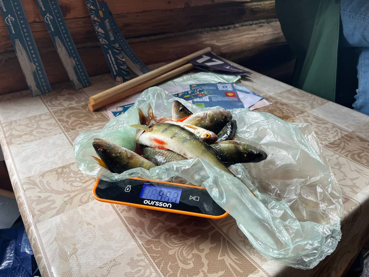 Гонки на лодках и улов 8 кг рыбы за час: в Кенозерском национальном парке отметили Петров день - фото 6
