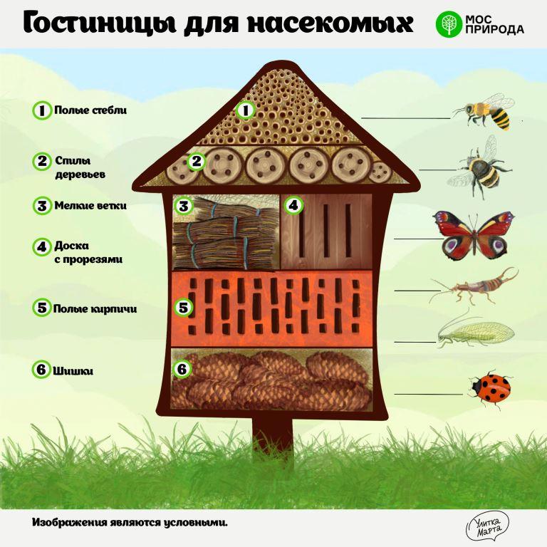 Гостиницы для насекомых: Мосприрода запускает новую экологическую акцию - фото 3