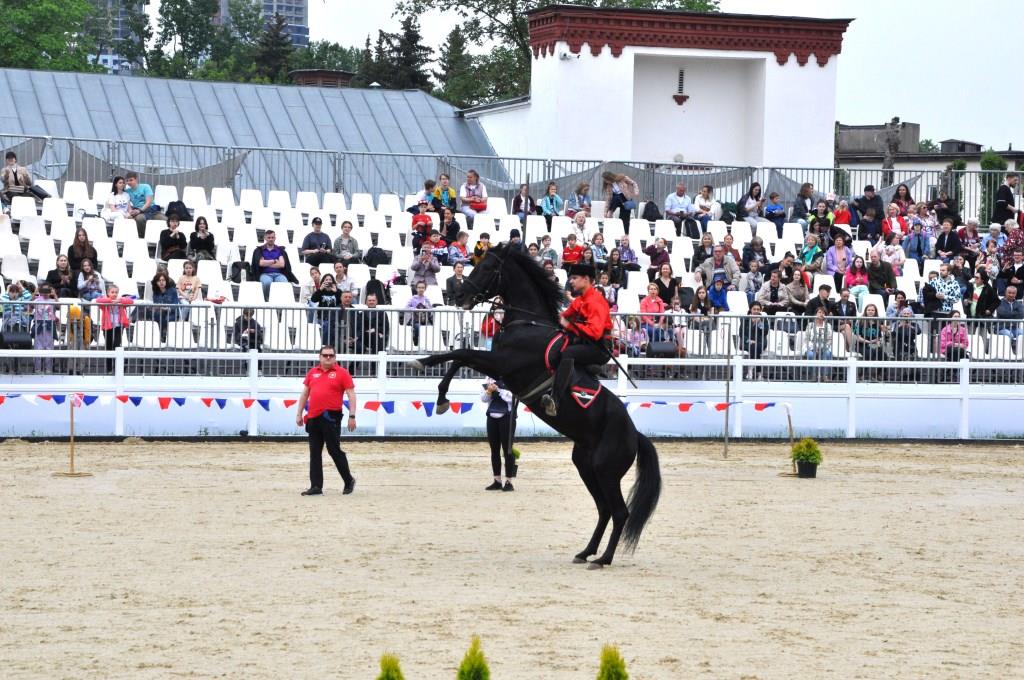 Финал VII Открытого московского фестиваля конного искусства и спорта - фото 8